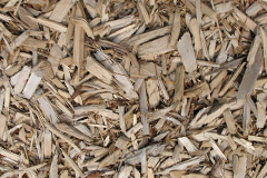 biomass boilers Burravoe